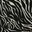 Black Sandshell Zebra Aop