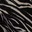 Black Sandshell Zebra