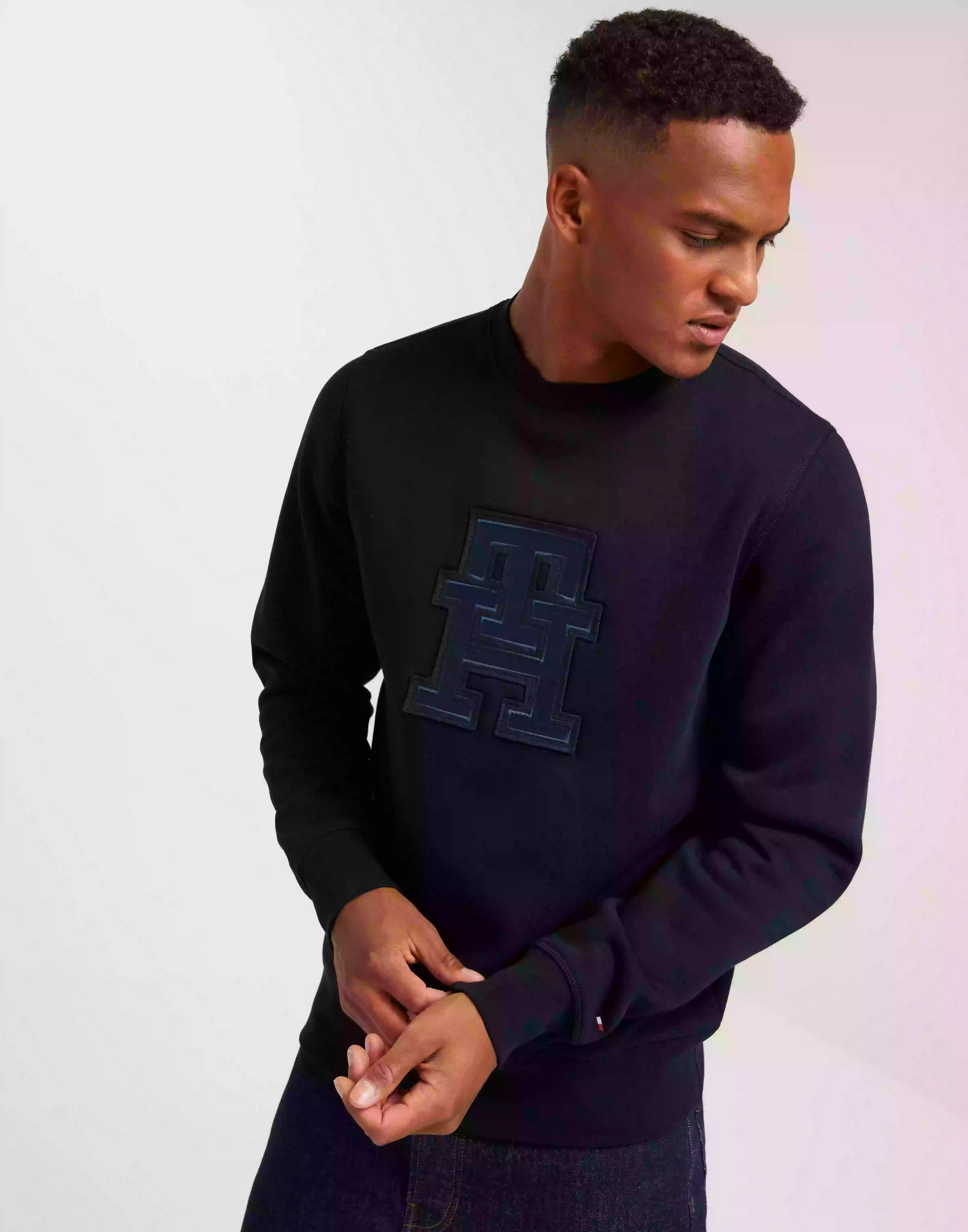 Tommy Hilfiger Monogram Applique Crewneck Sweatshirts Desert Sky