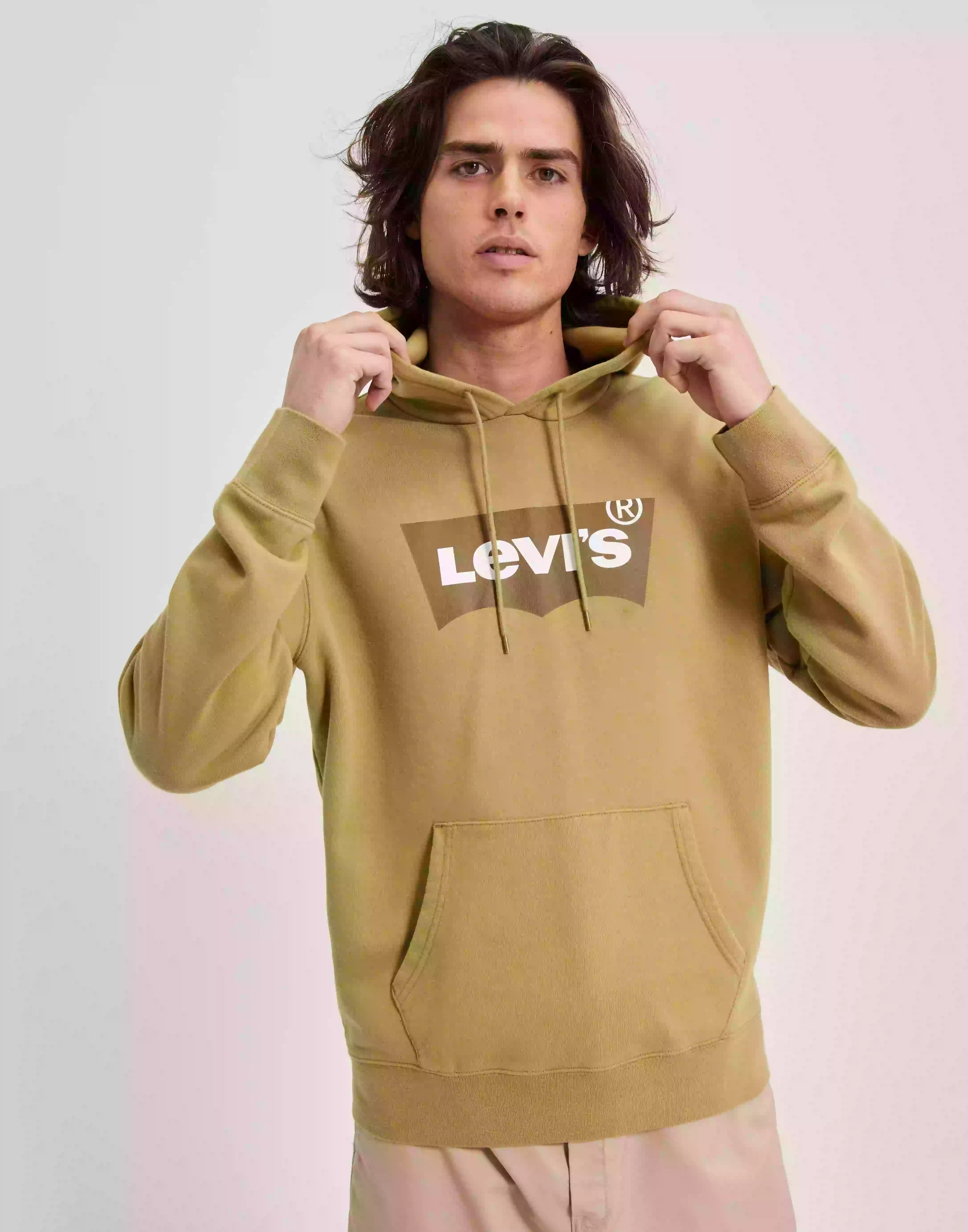 Levi's Standard Graphic Hoodie Bw Ssn Green