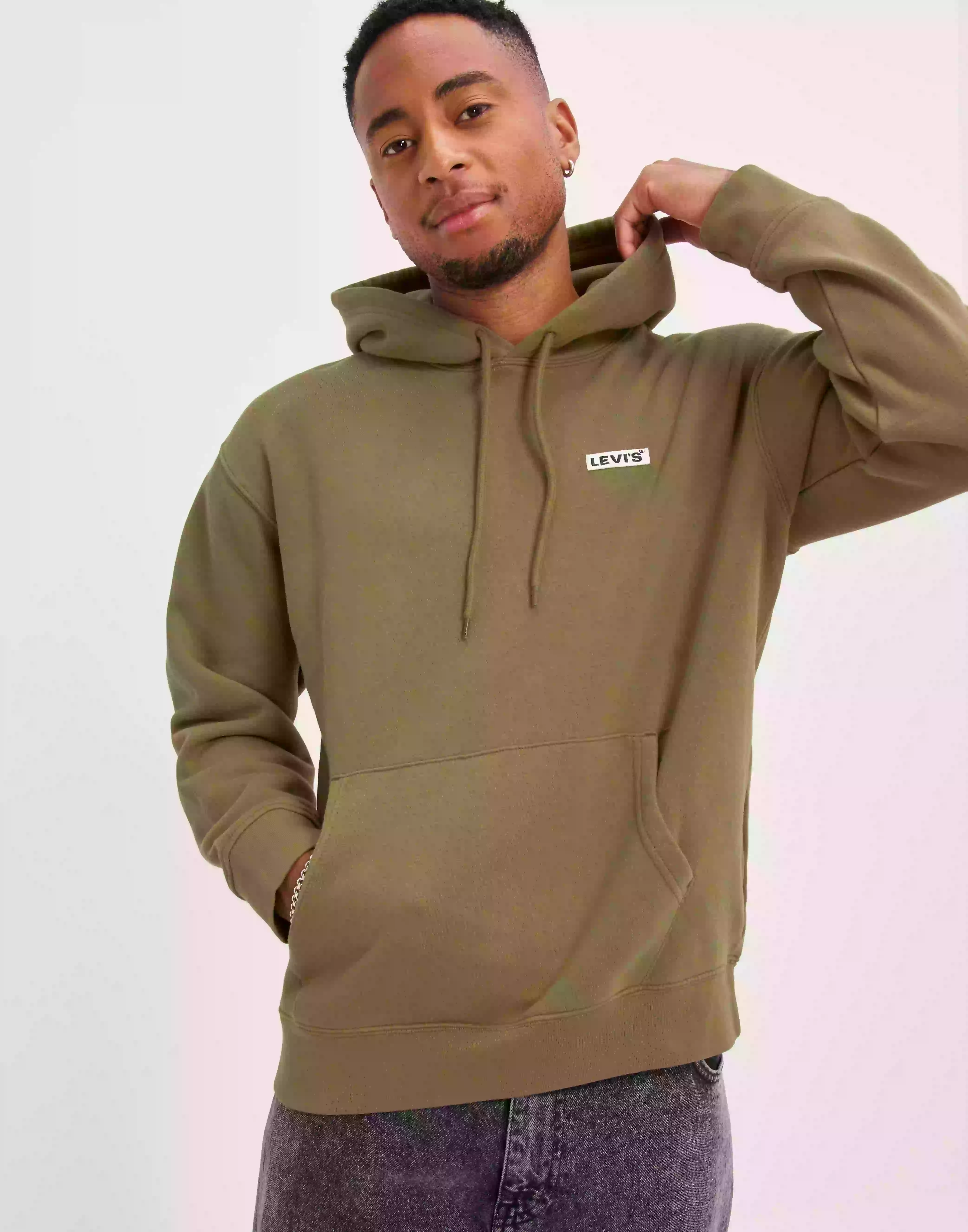 Levi's Relaxed Baby Tab Hoodie Boxtab Hoodies Multicolor