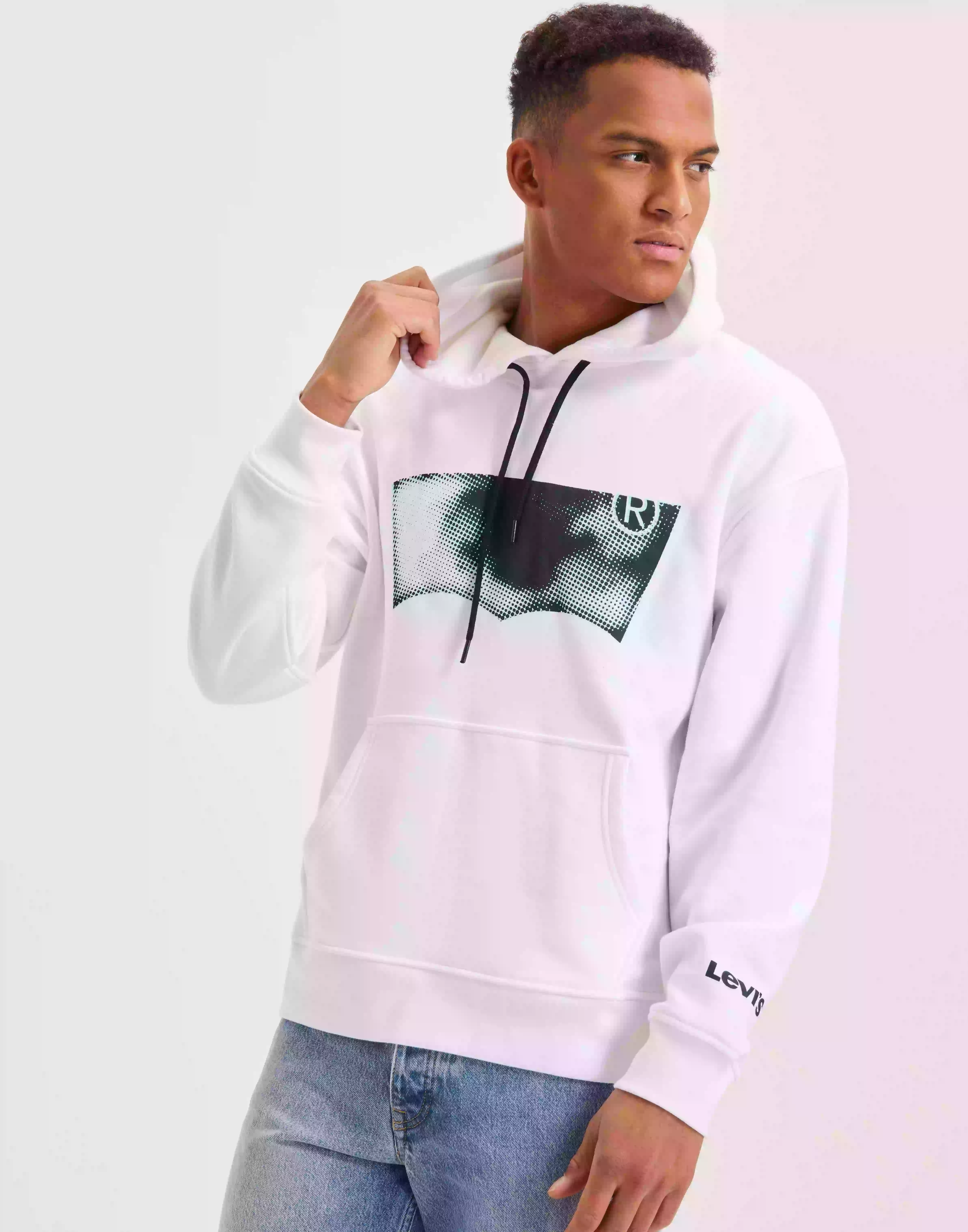Levi's Relaxed Graphic Po Distorted B Hoodies Neutral
