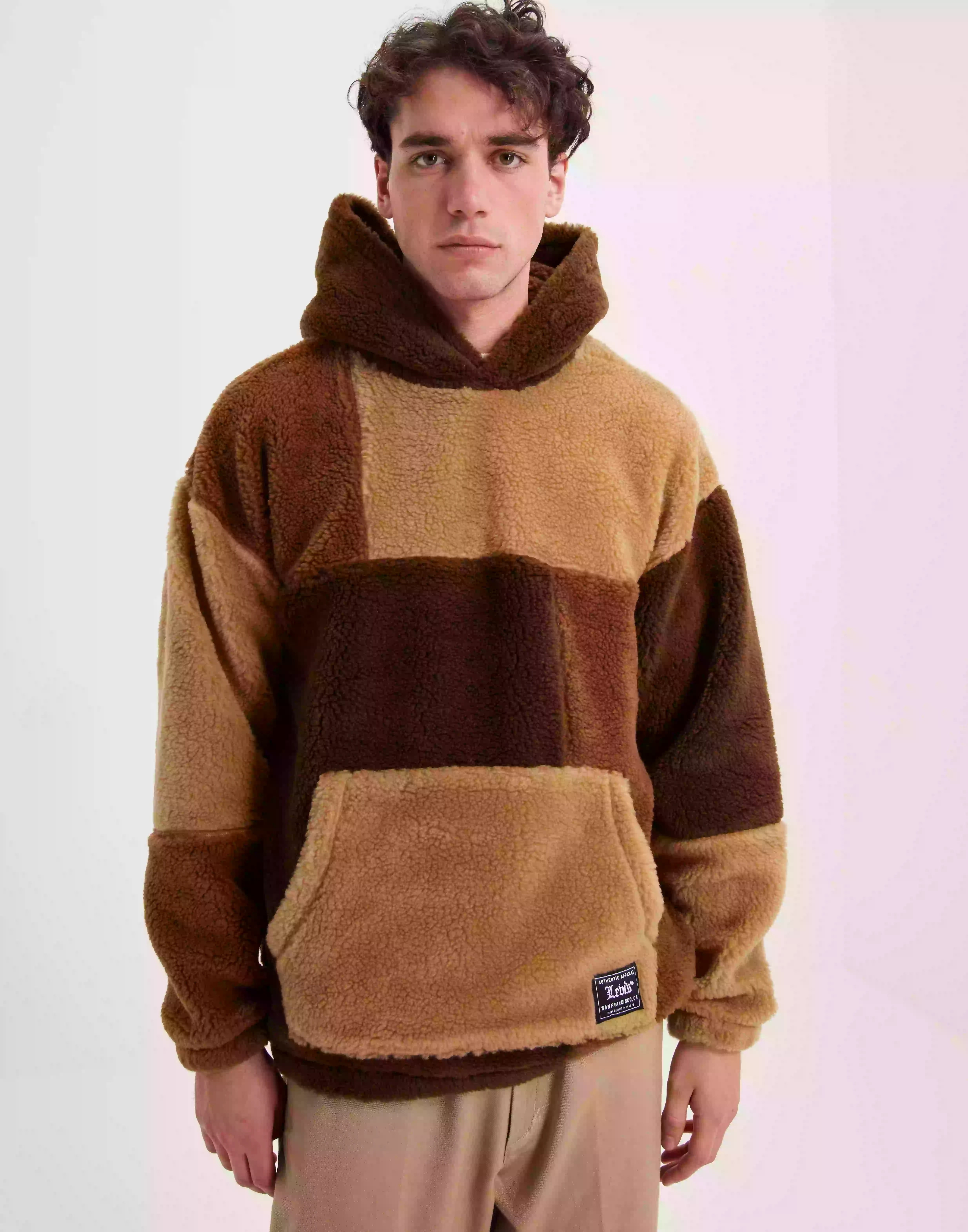 Levi's Jigsaw Pieced Hoodie Shaved Ch Hoodies Neutral