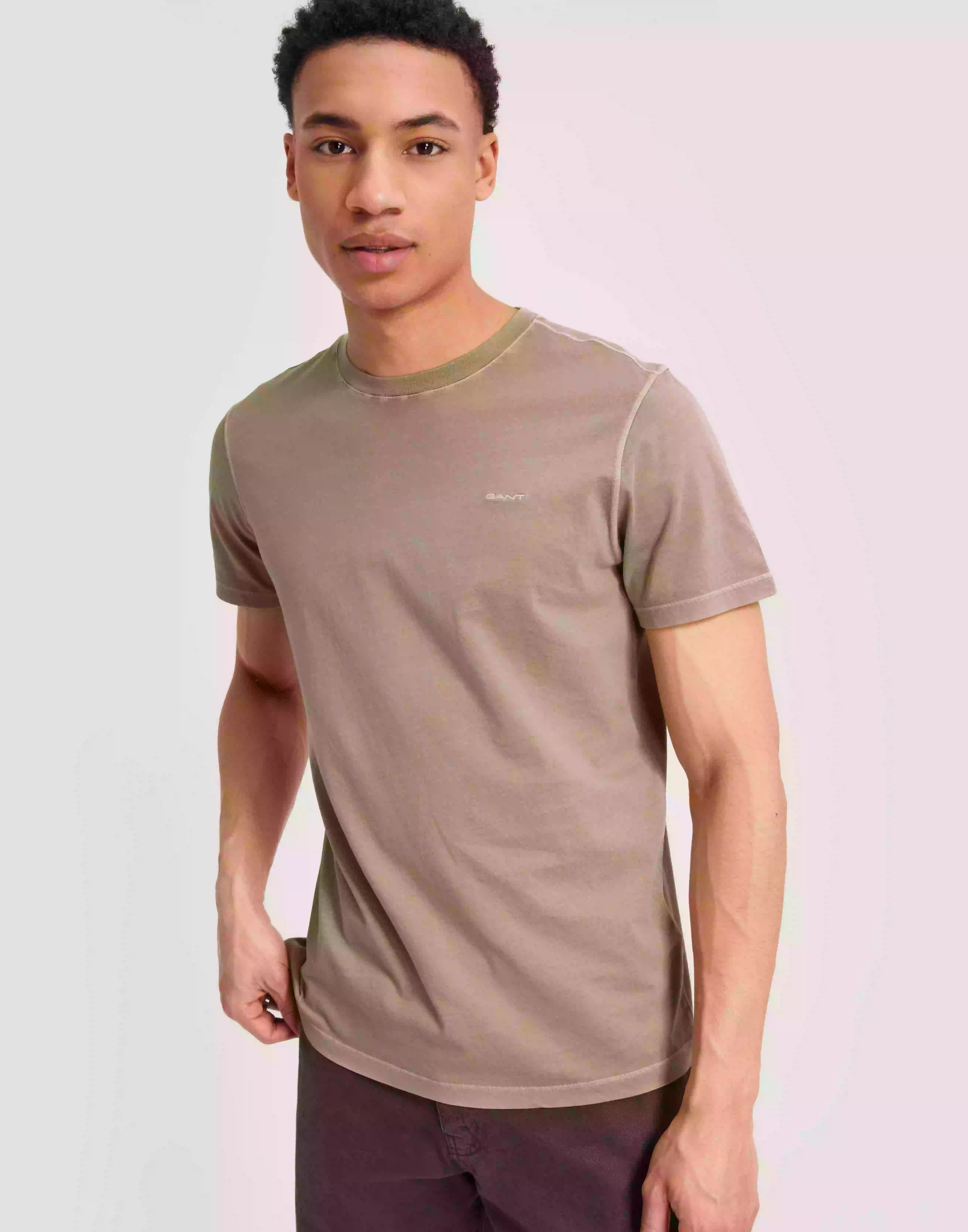 Gant Sunfaded Ss T-Shirt T-Shirts & Linnen Concrete Beige