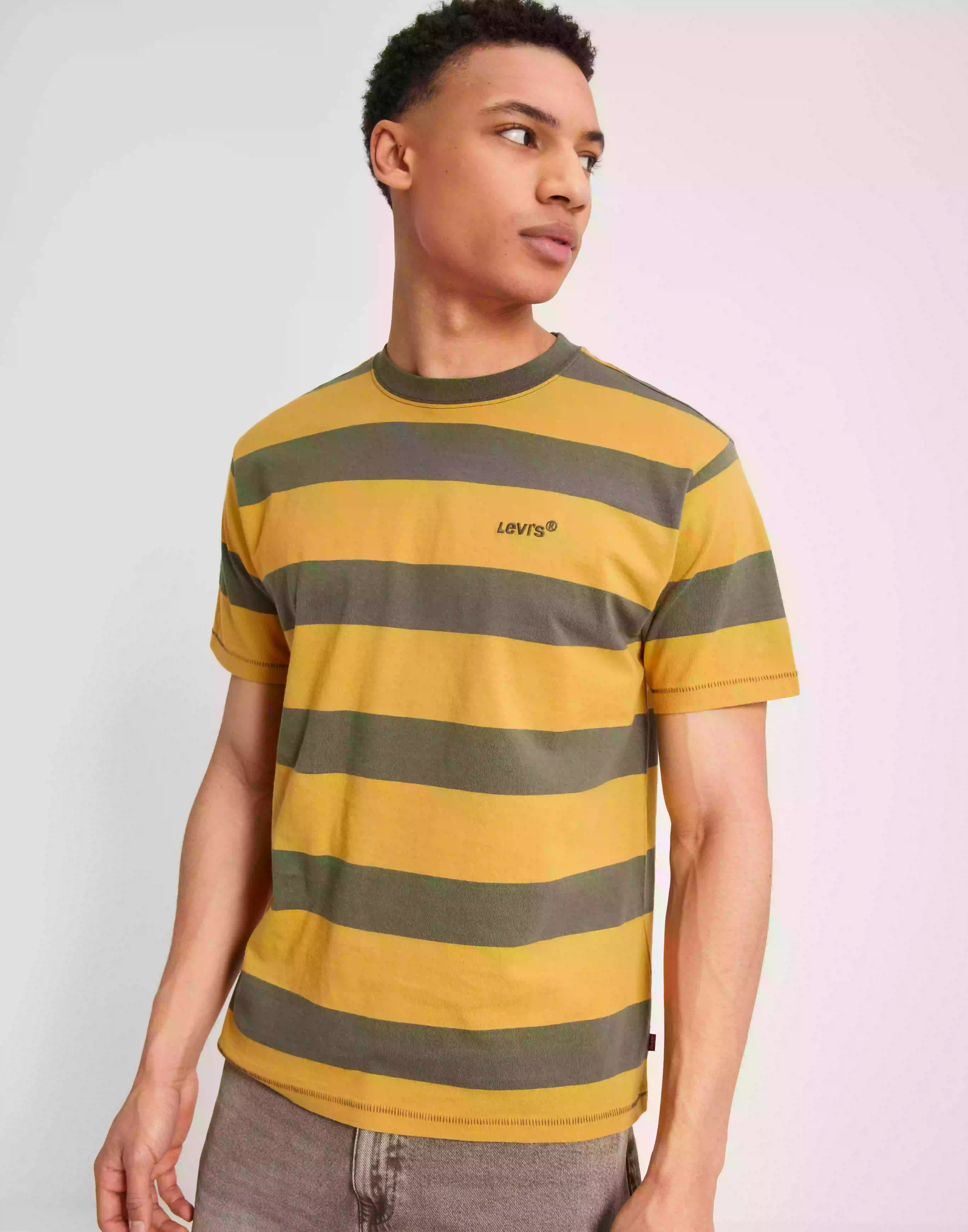Levi's Red Tab Vintage Tee Throwback Randiga t-shirts Multi