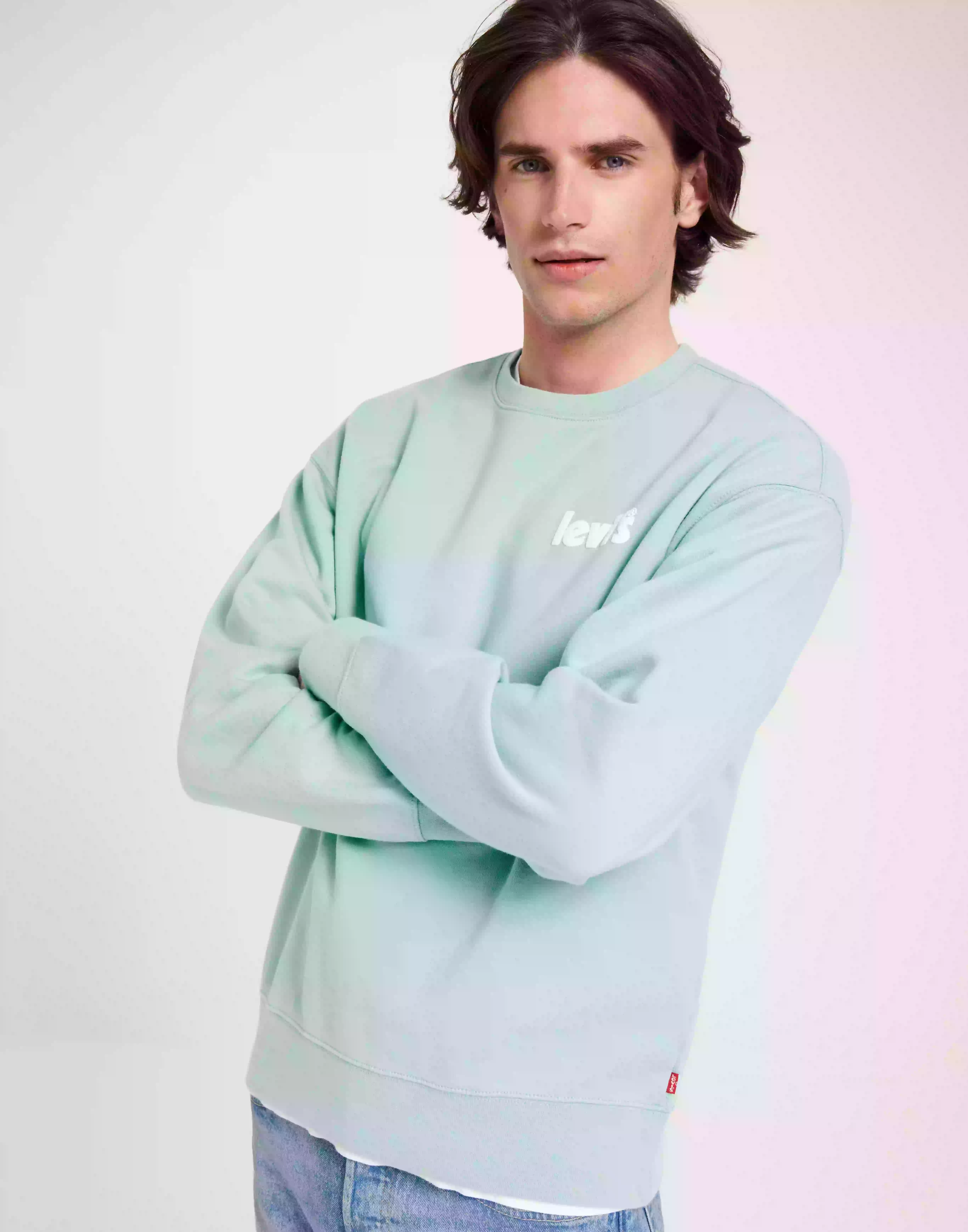 Levi's Relaxd Graphic Crew Sweatshirts Neutral