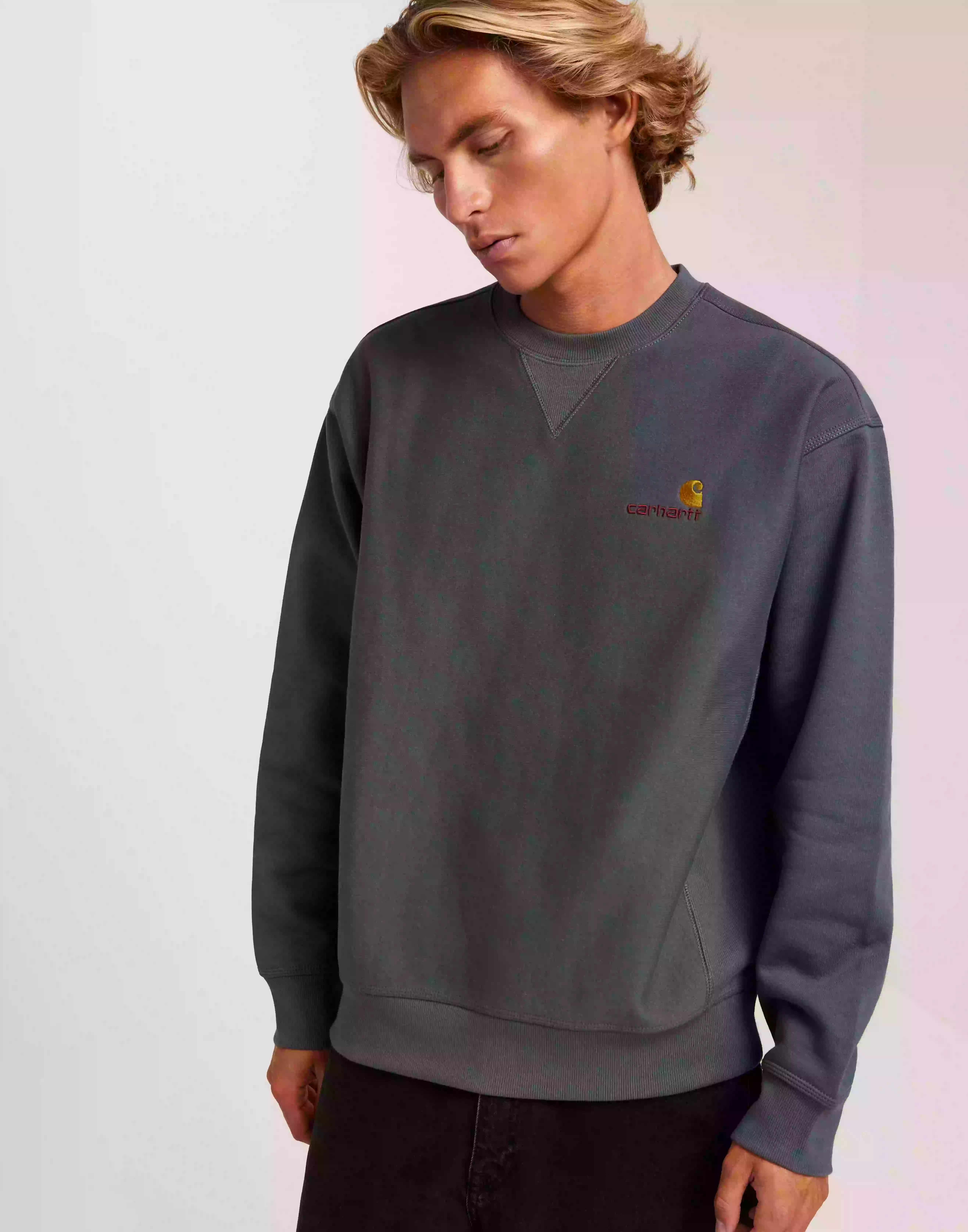 Carhartt WIP American Script Sweat Sweatshirts Dark Grey