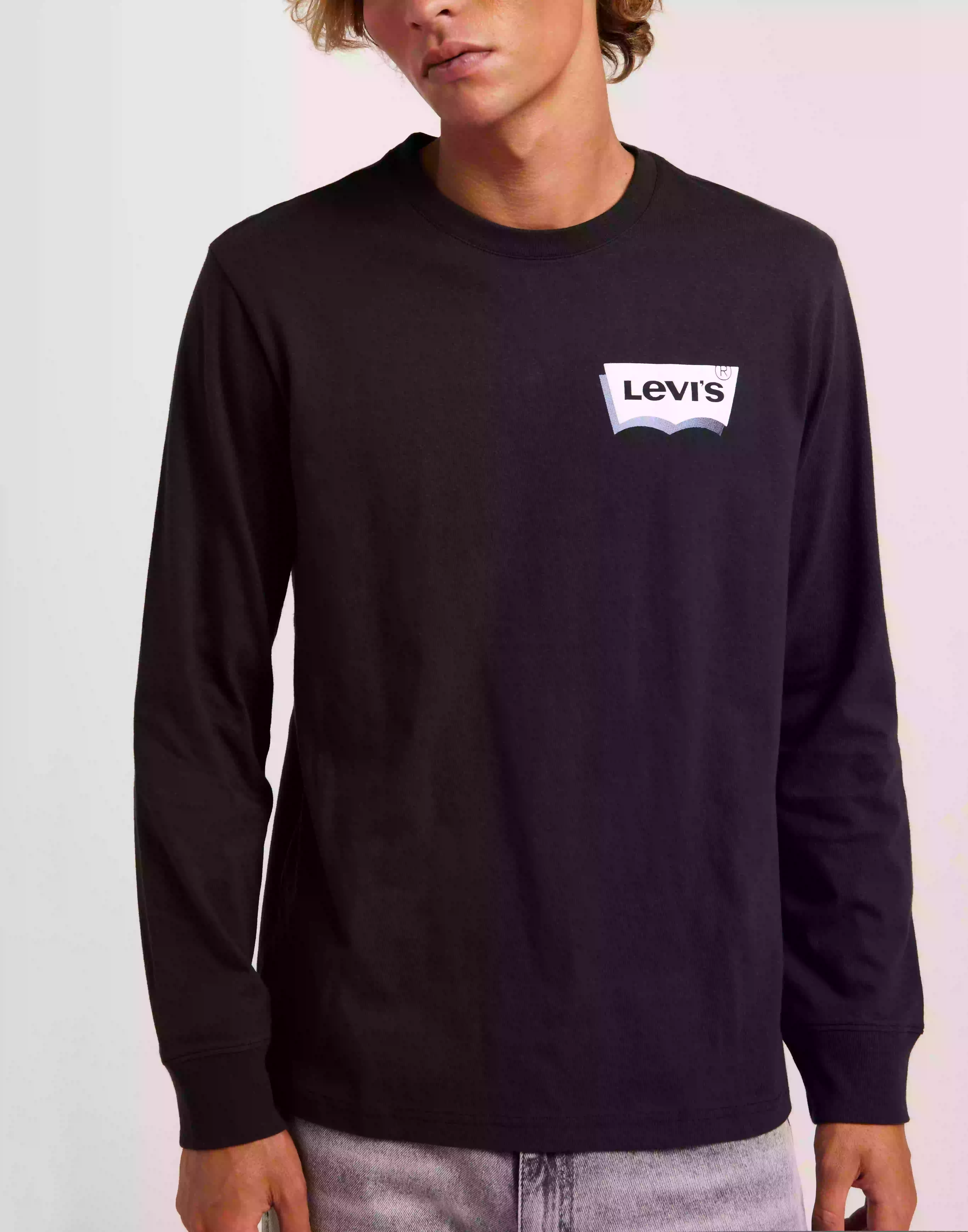 Levi's Relaxed Ls Graphic Tee Ssnl Bw Langermede t-shirts Neutrals