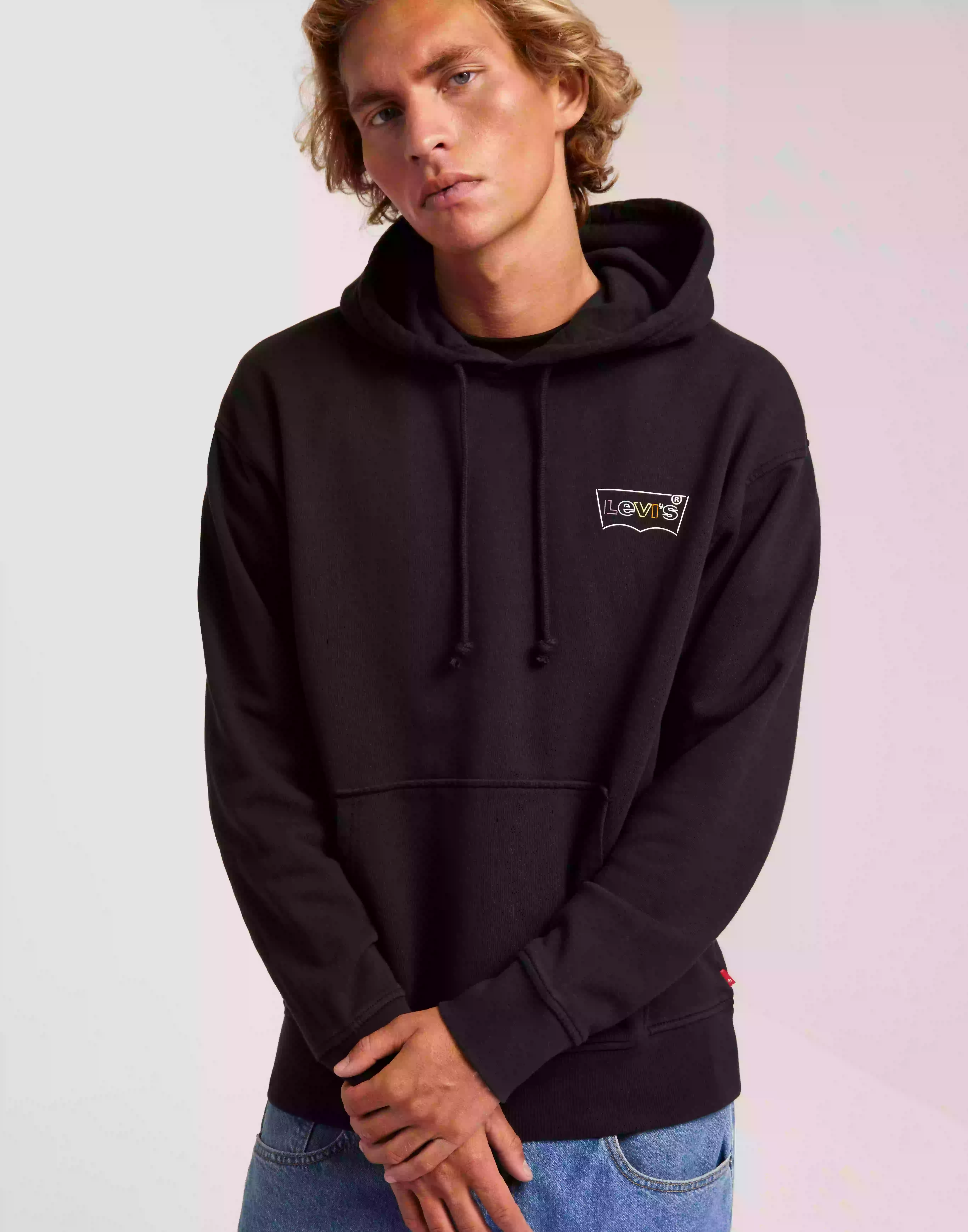 Levi's Relaxed Graphic Po Bw Ssnl Log Hoodies Black