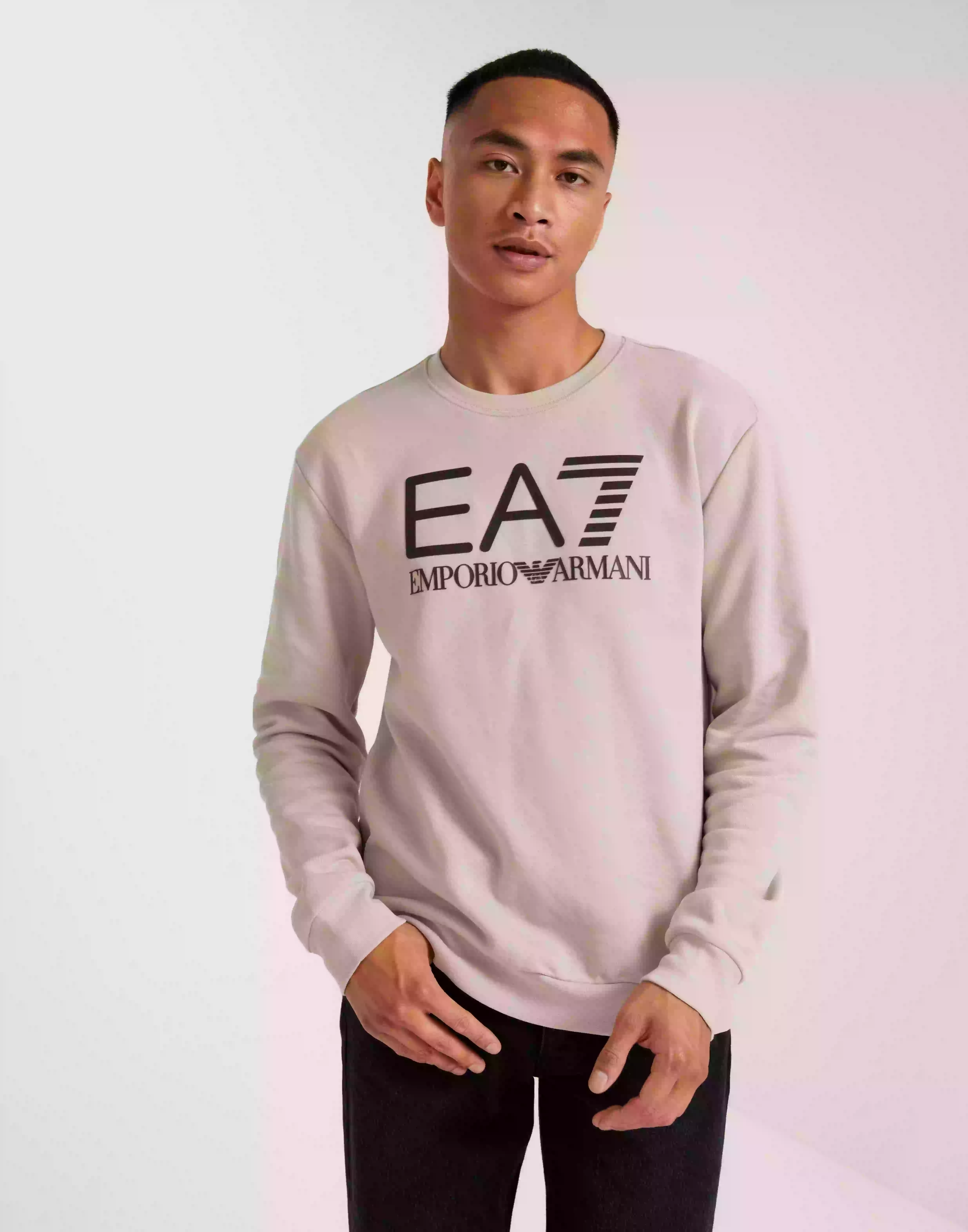 EA7 Emporio Armani Felpa Sweatshirts Silver Cloud