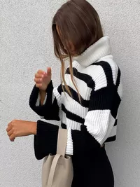 Lovely Roll Neck Knit Sweater